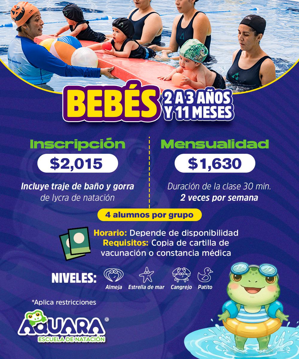 Bebés de 2 a 3 años 11 meses