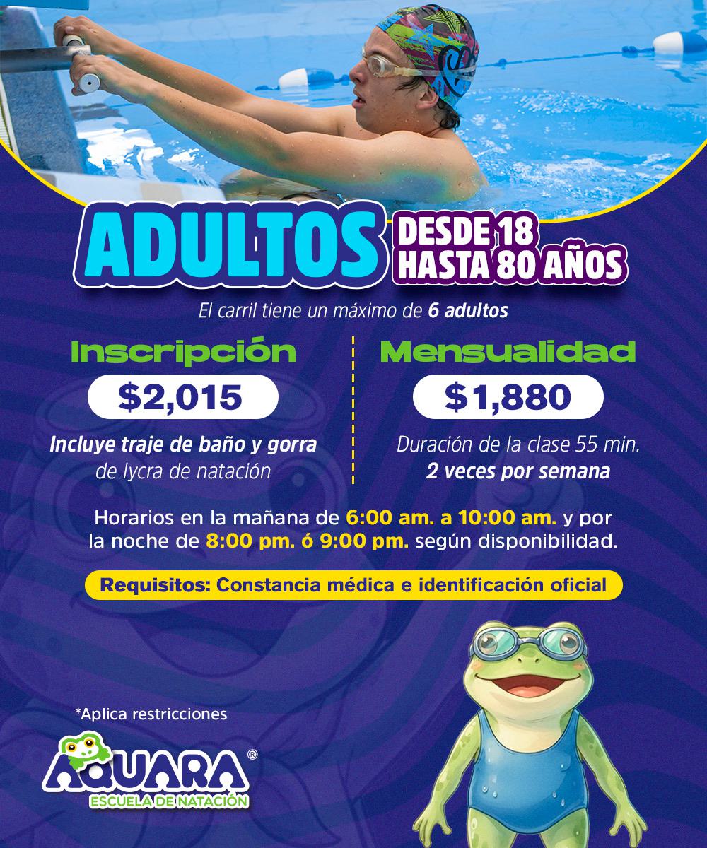 Adultos