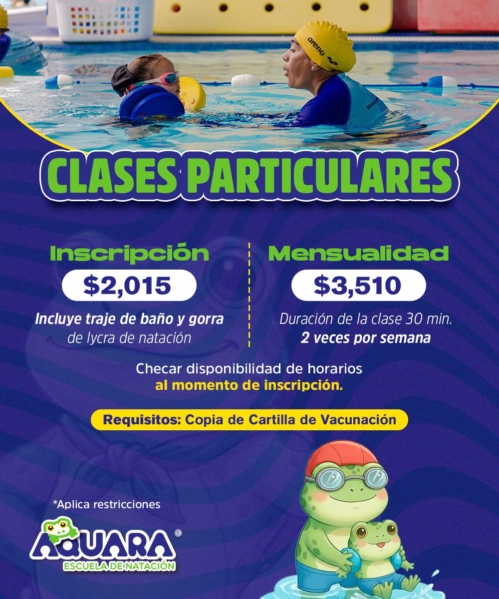 Clases Particulares